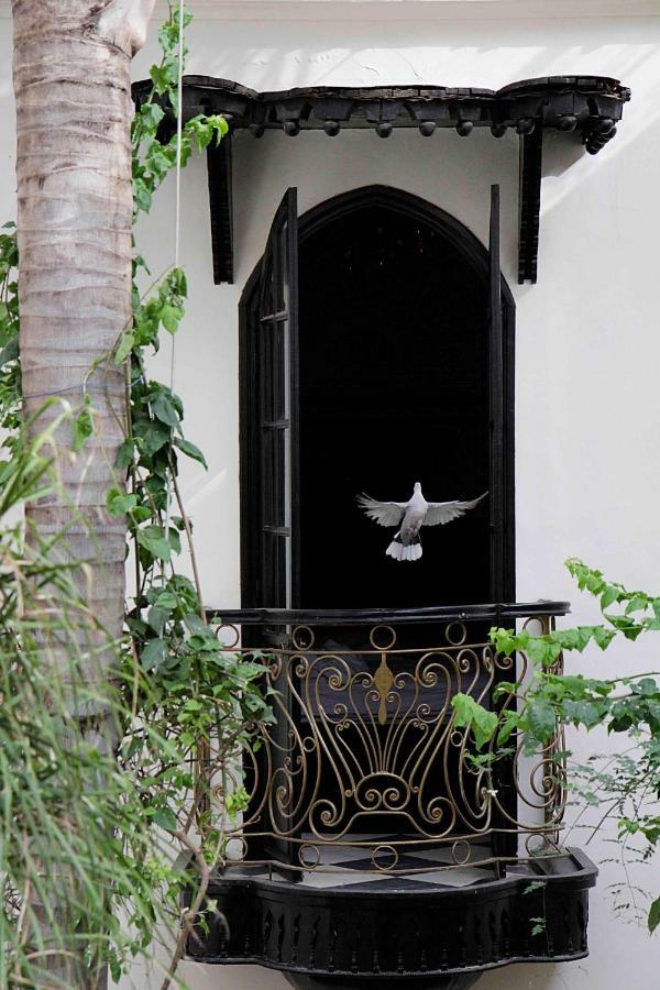 Dar Jaguar 3* Marrakesh