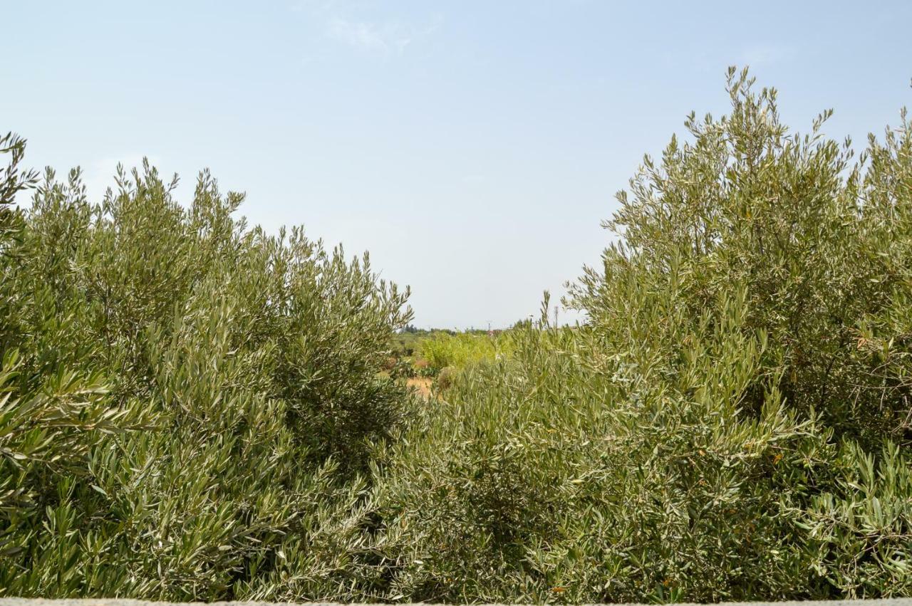 Run Marine 1 Marrakech Bed & Breakfast *