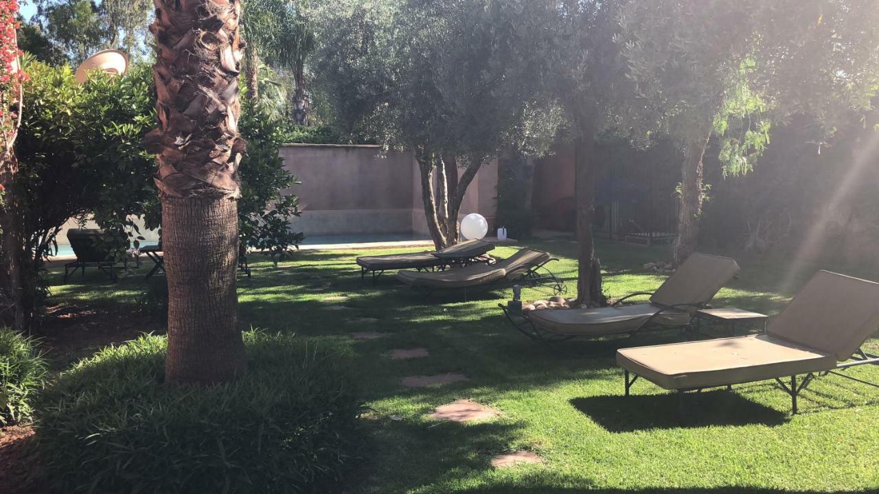 Akhdar Numero 4