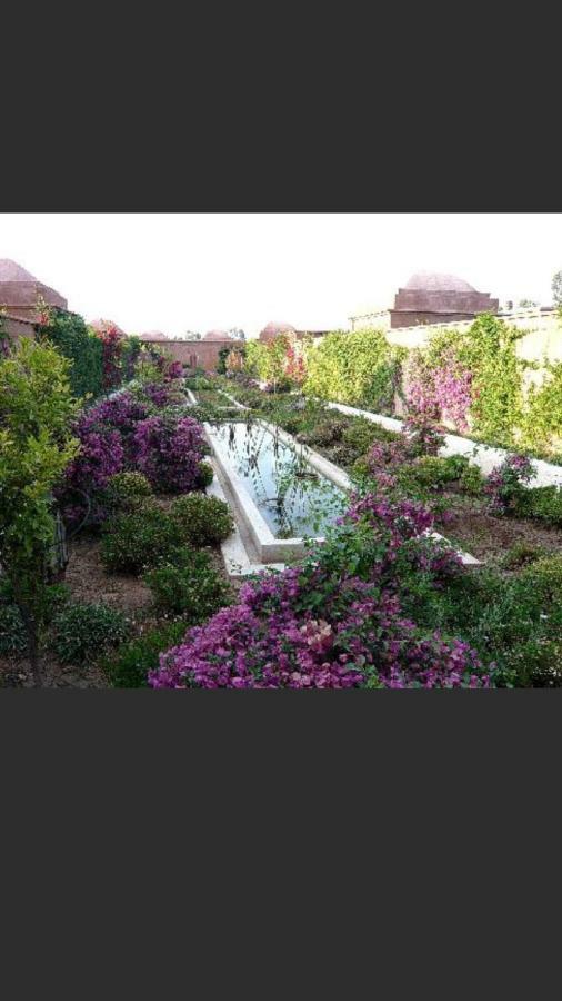 Villa Akhdar Numero 4