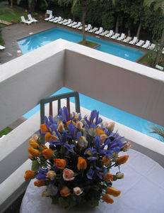 Amine Hotel