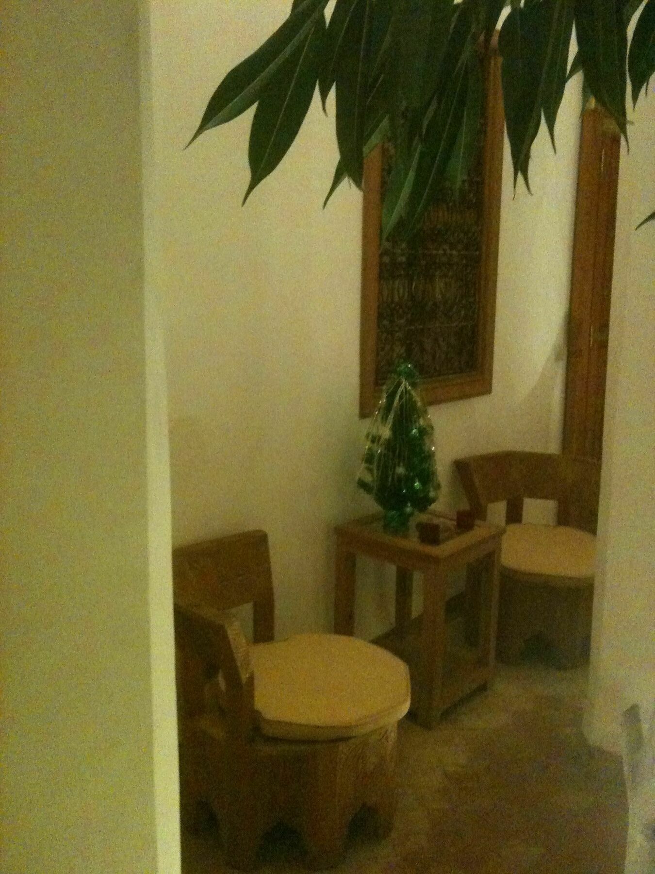 Riad Chameau Fdc 3*