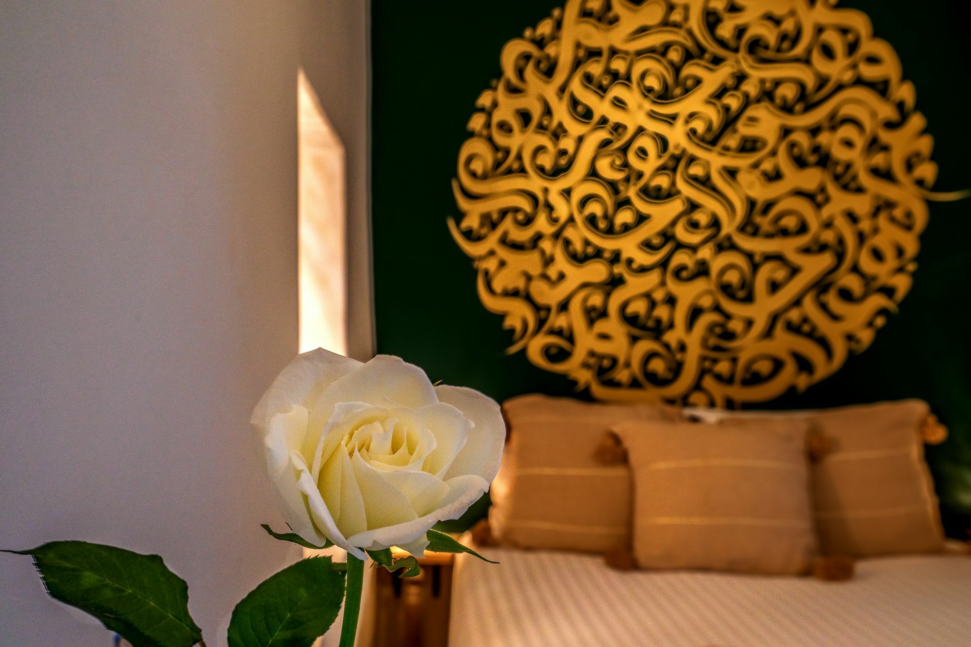 Riad L'oriental Medina &