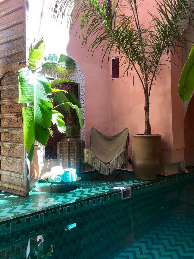 Couette-café The Bohemian Jungle *