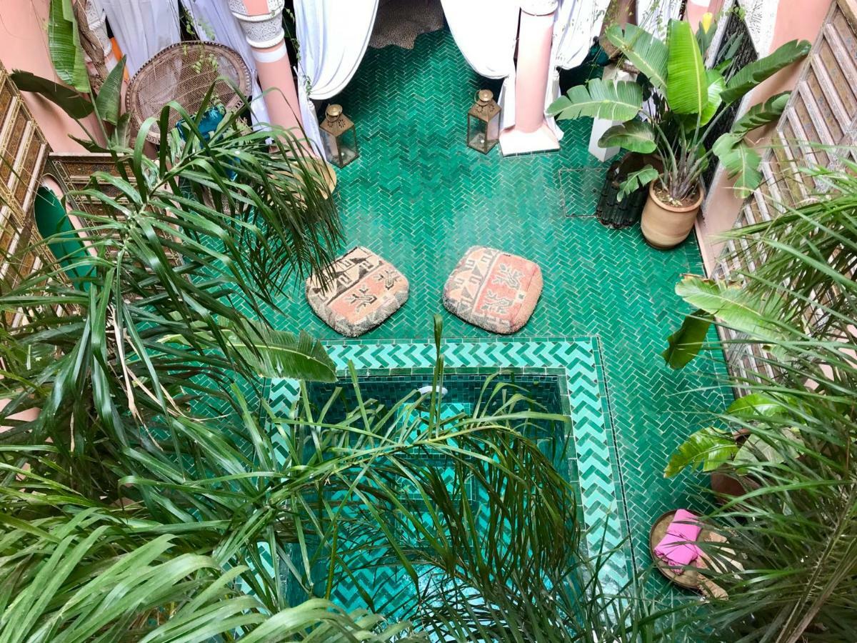The Bohemian Jungle