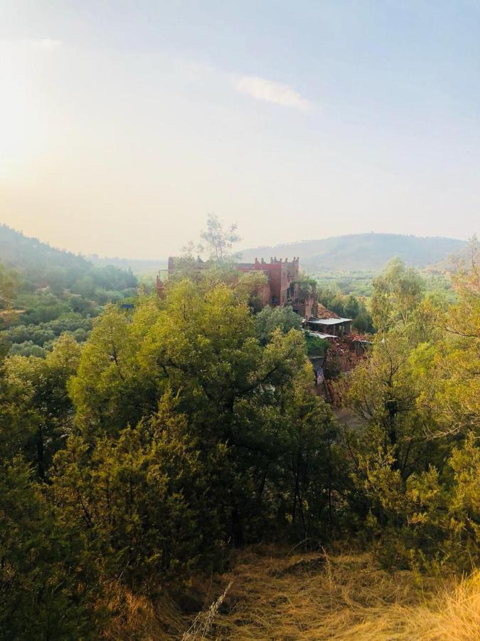 Guest house Kasbah Tifirte 3*