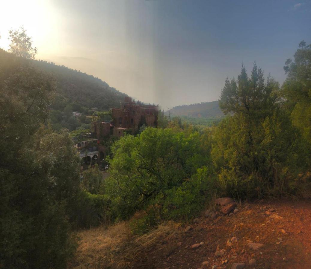 Kasbah Tifirte Guest house