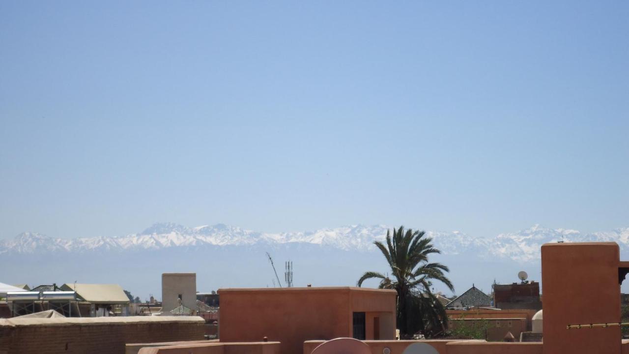 Tahar Oasis