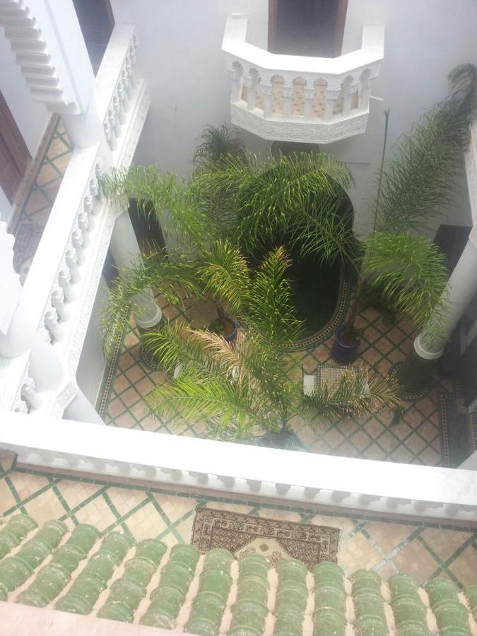 Tahar Oasis *