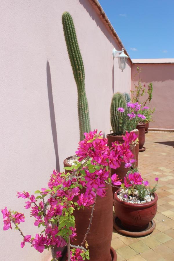 El Arco Rooftop Pool & 2*