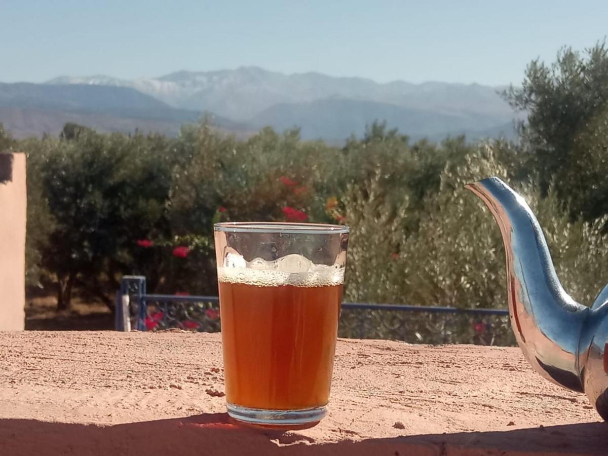 Zahra - Marrakech