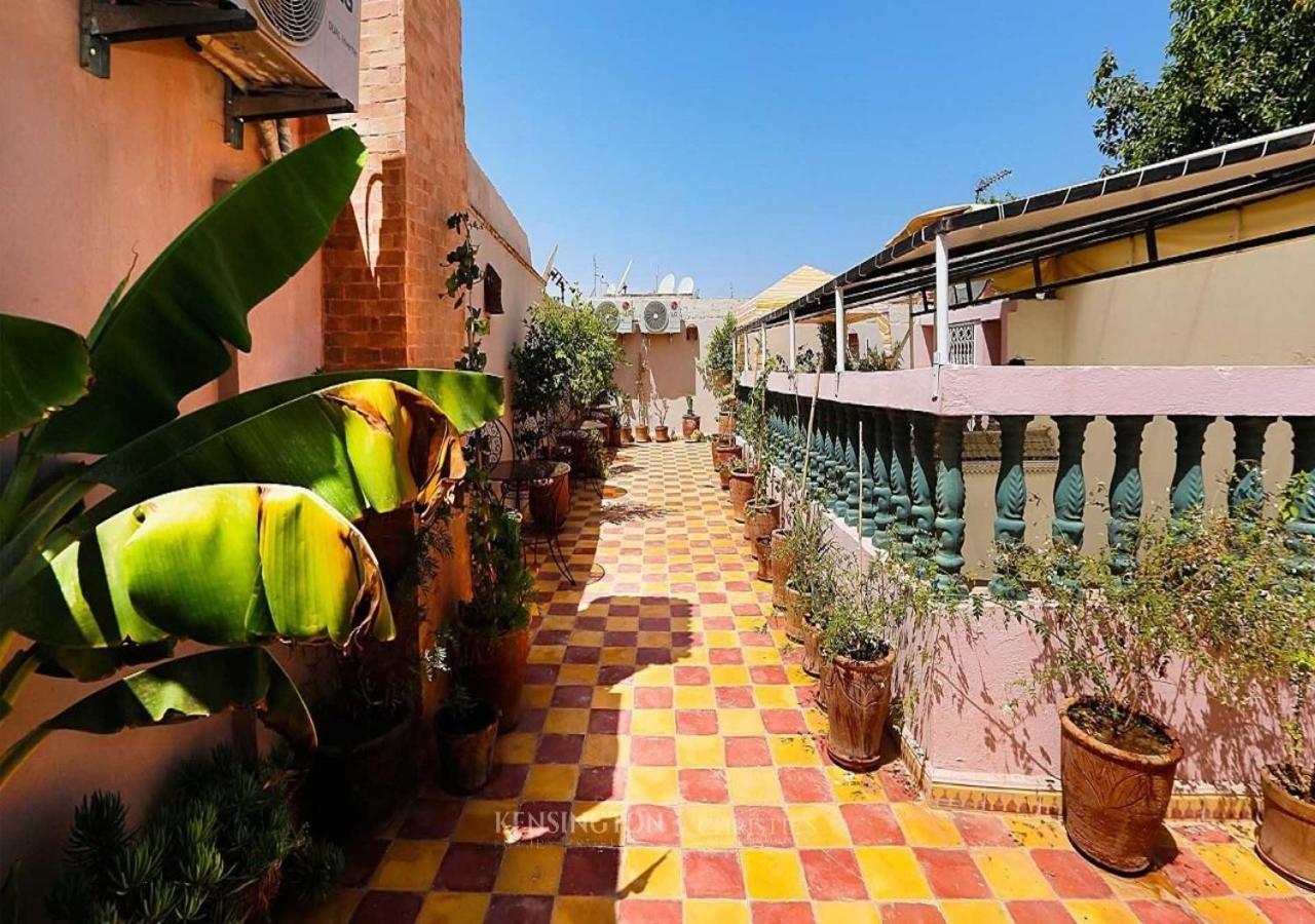Guest house Haylana 3*