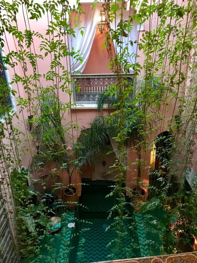 The Bohemian Jungle Couette-café *