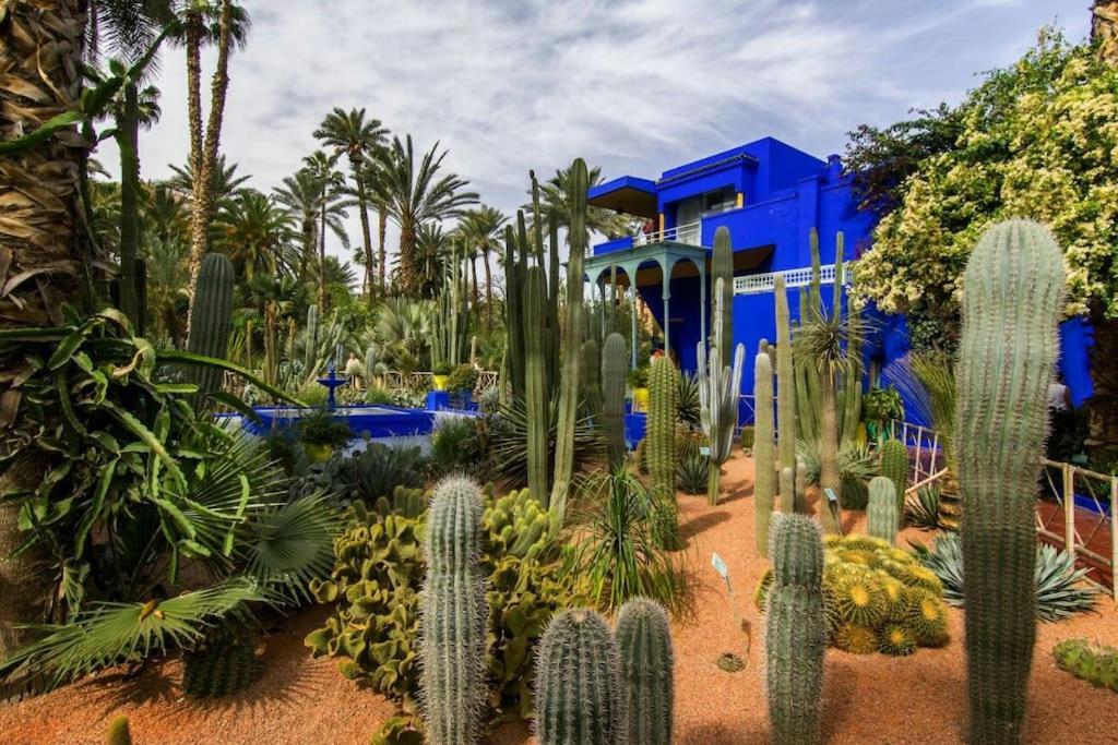 Deluxe In The Center Of With Free Wifi Marrakesh