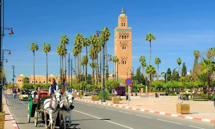 Avec Piscine A Marrakech Pousada