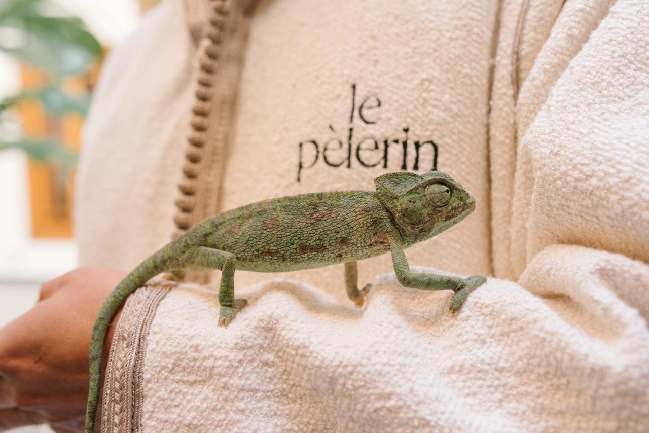 Bed & Breakfast Le Pelerin Marrakesh