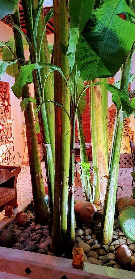 Mehdia 3* Marrakesh