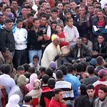 Riad Taddert