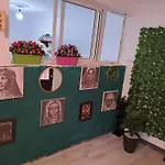 Riad Rooftop Terrace Green House