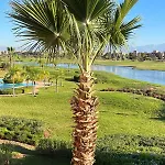Amazing Appartement 3 Rooms With Panoramic Views