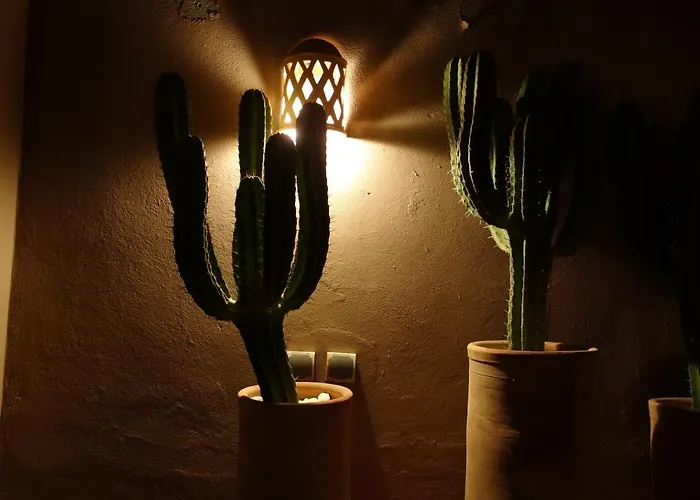 Riad Dar-Cactus-Bleu, Un Ecrin Dans La Medina