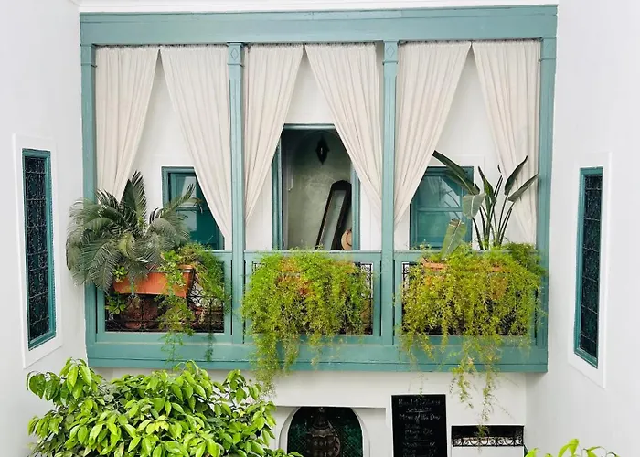 Riad 11 Zitoune