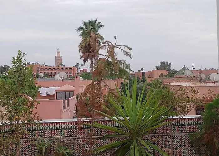 Riad Rooftop Terrace Green House