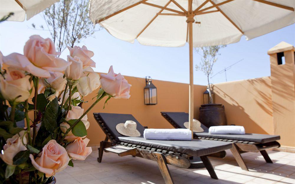 Les Ammonites And Riad