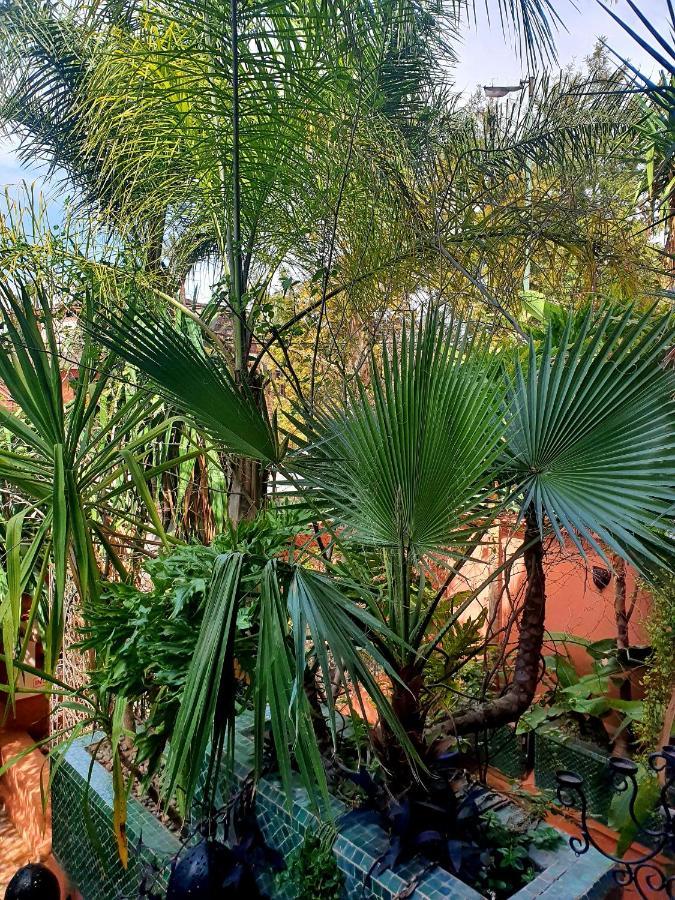 Amira & Spa Guest house