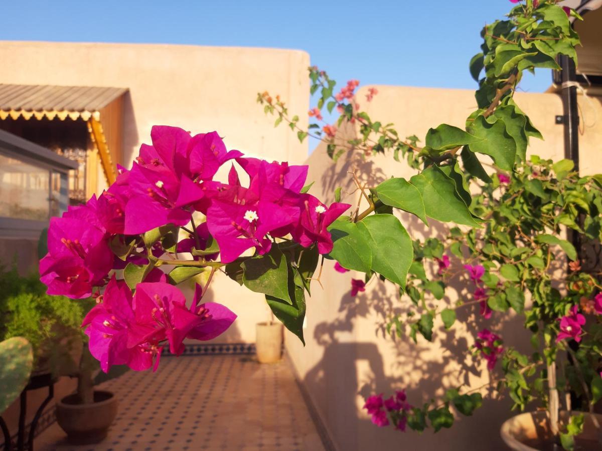 Riad Miral 3*
