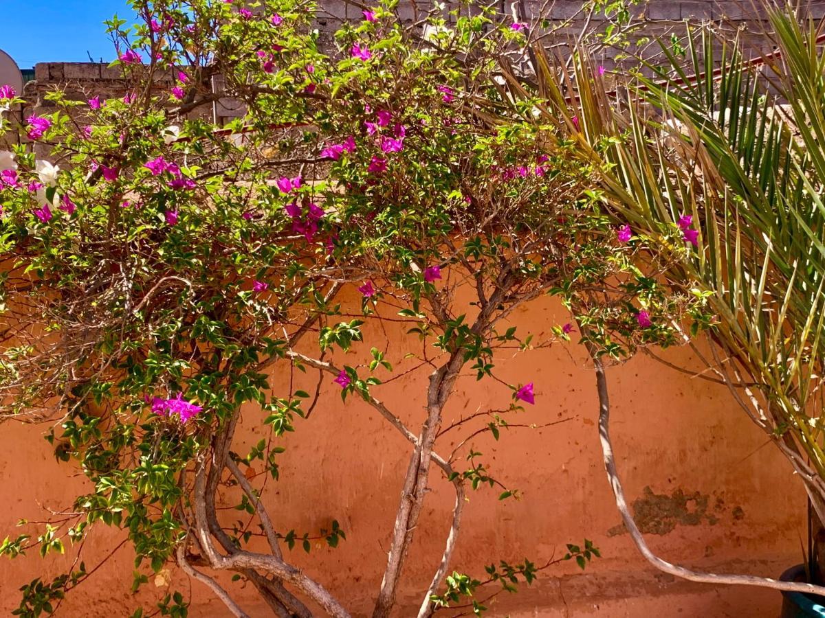 Dar Zemrane Riad 4*