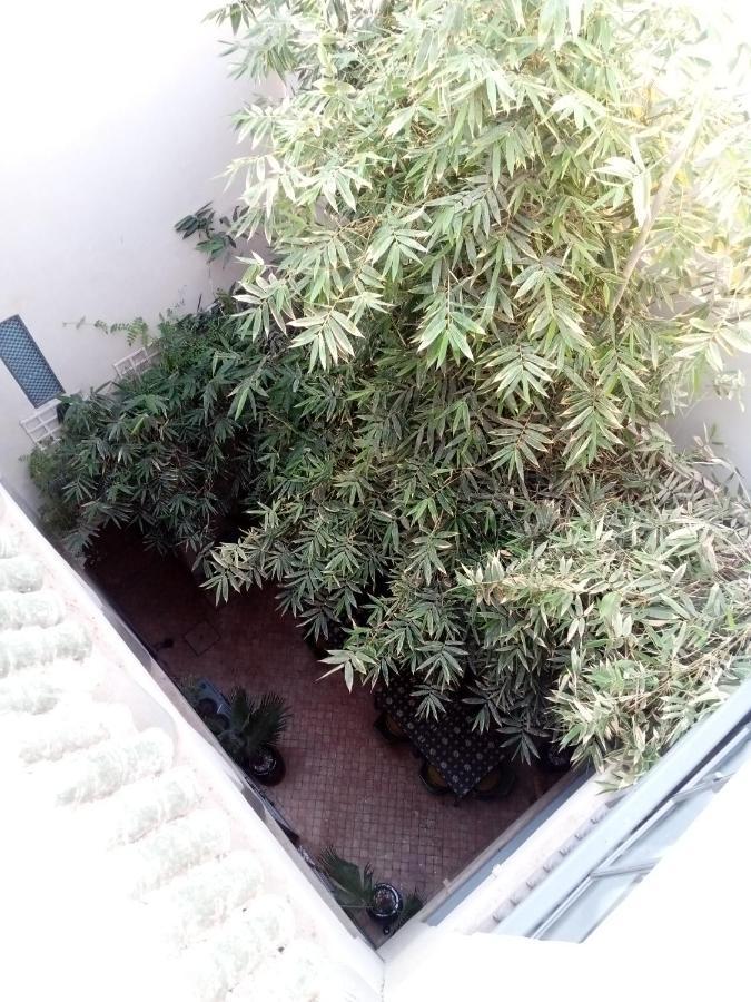 Riad103 Piscine Chauffée Sur Le Rooftop, Jacuzzi Hot&hammam Massage Riad *
