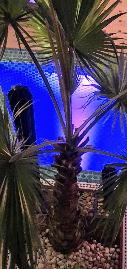 Riad Dar-Cactus-Bleu, Un Ecrin Dans La Medina * Marrakesh