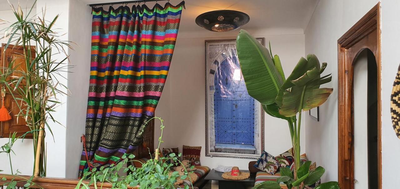 Riad Dar-Cactus-Bleu, Un Ecrin Dans La Medina Holiday home