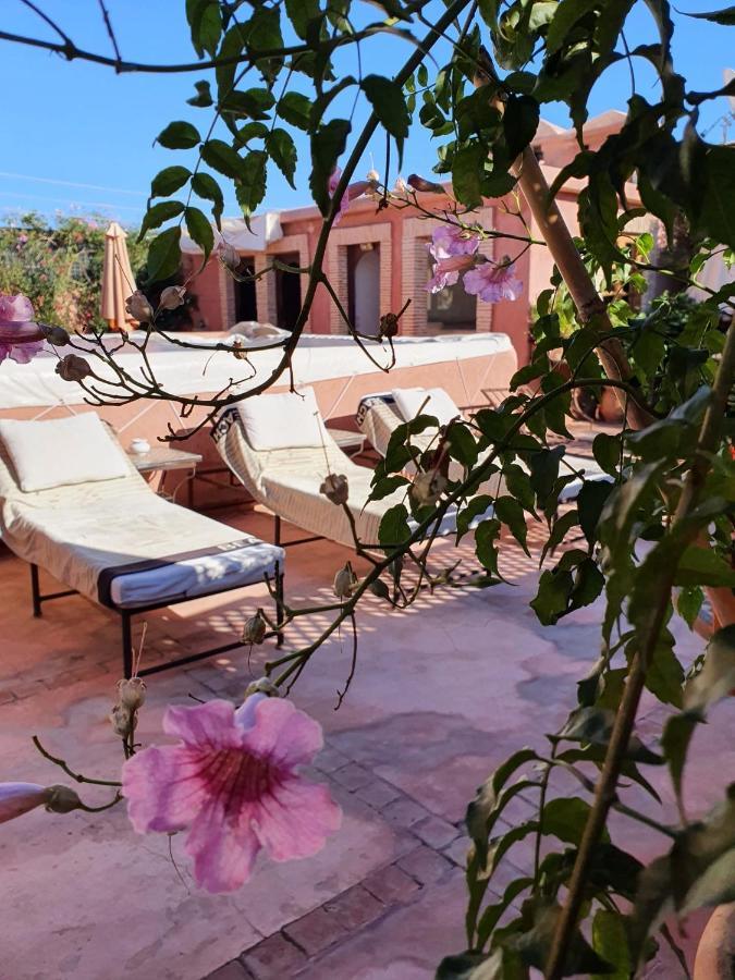 Chameau Fdc Riad Marrakesh