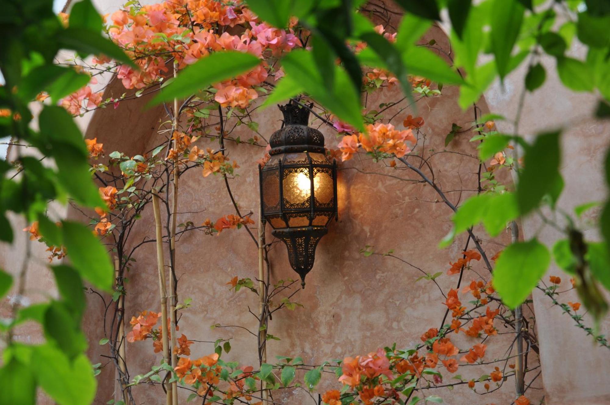 Guest house Dar Ganou