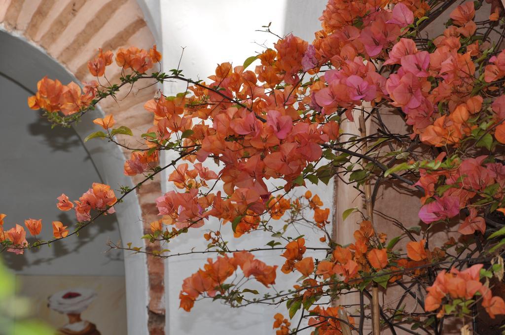 Guest house Dar Ganou Marrakesh