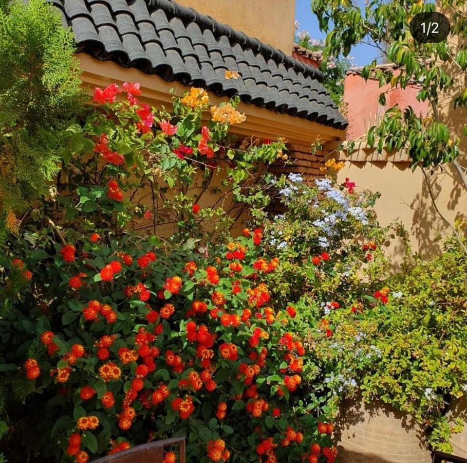 Zouhour Casa de hóspedes