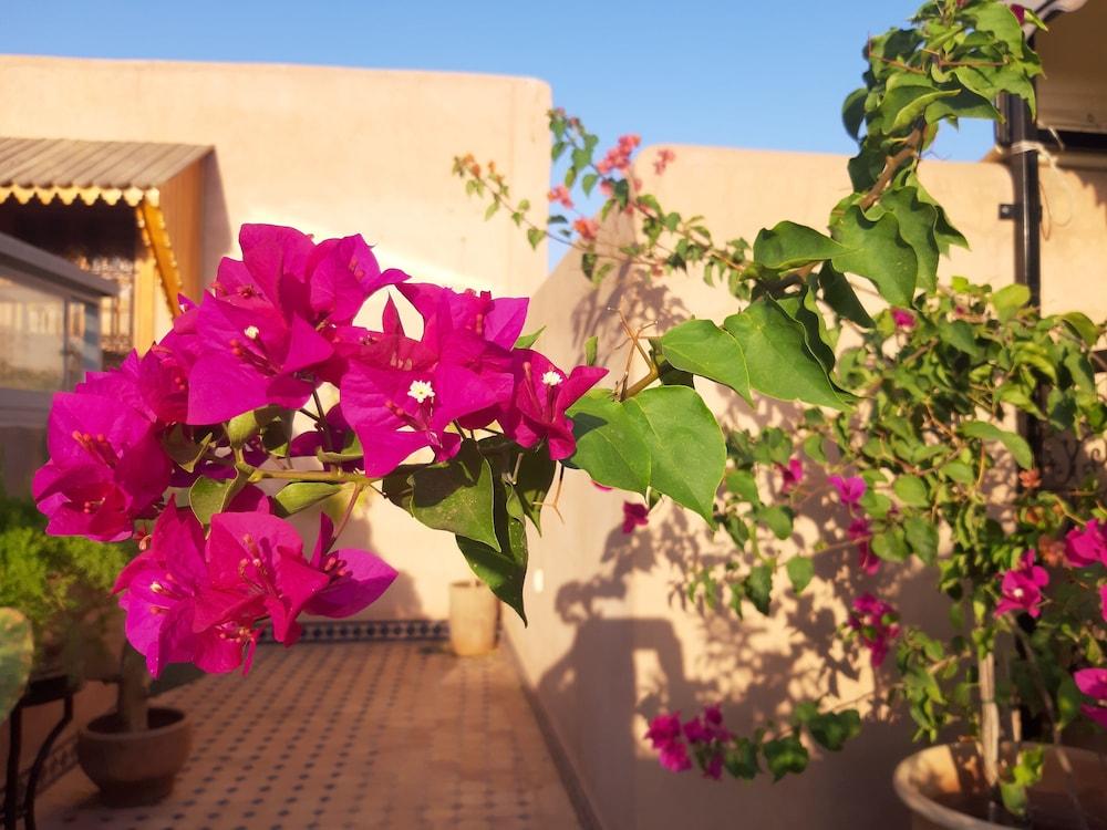 Miral Riad 3*