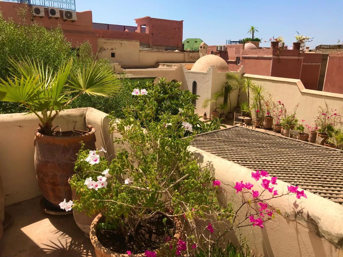 Sahara Nour Riad 2*