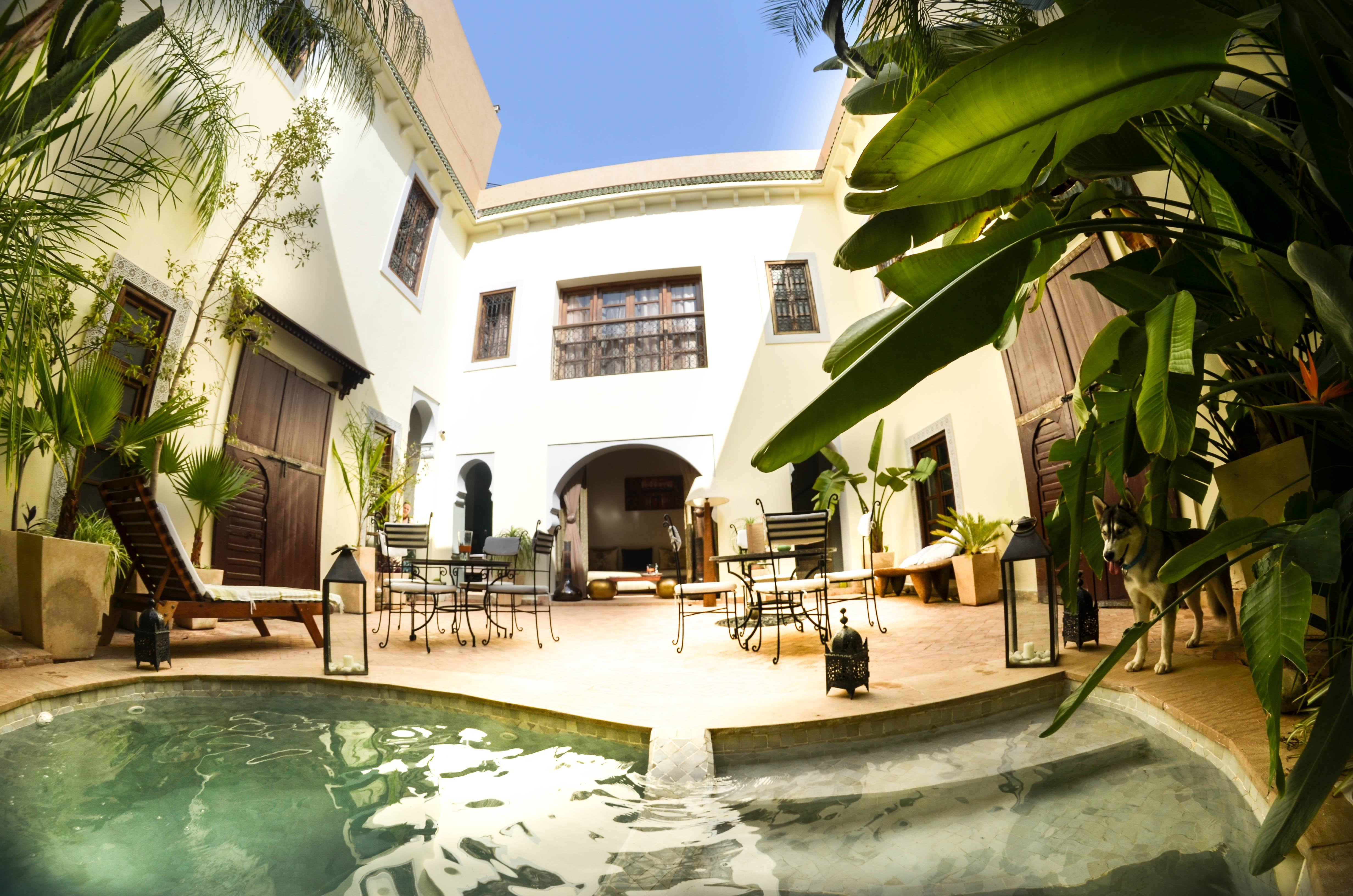 Les Ammonites And Riad