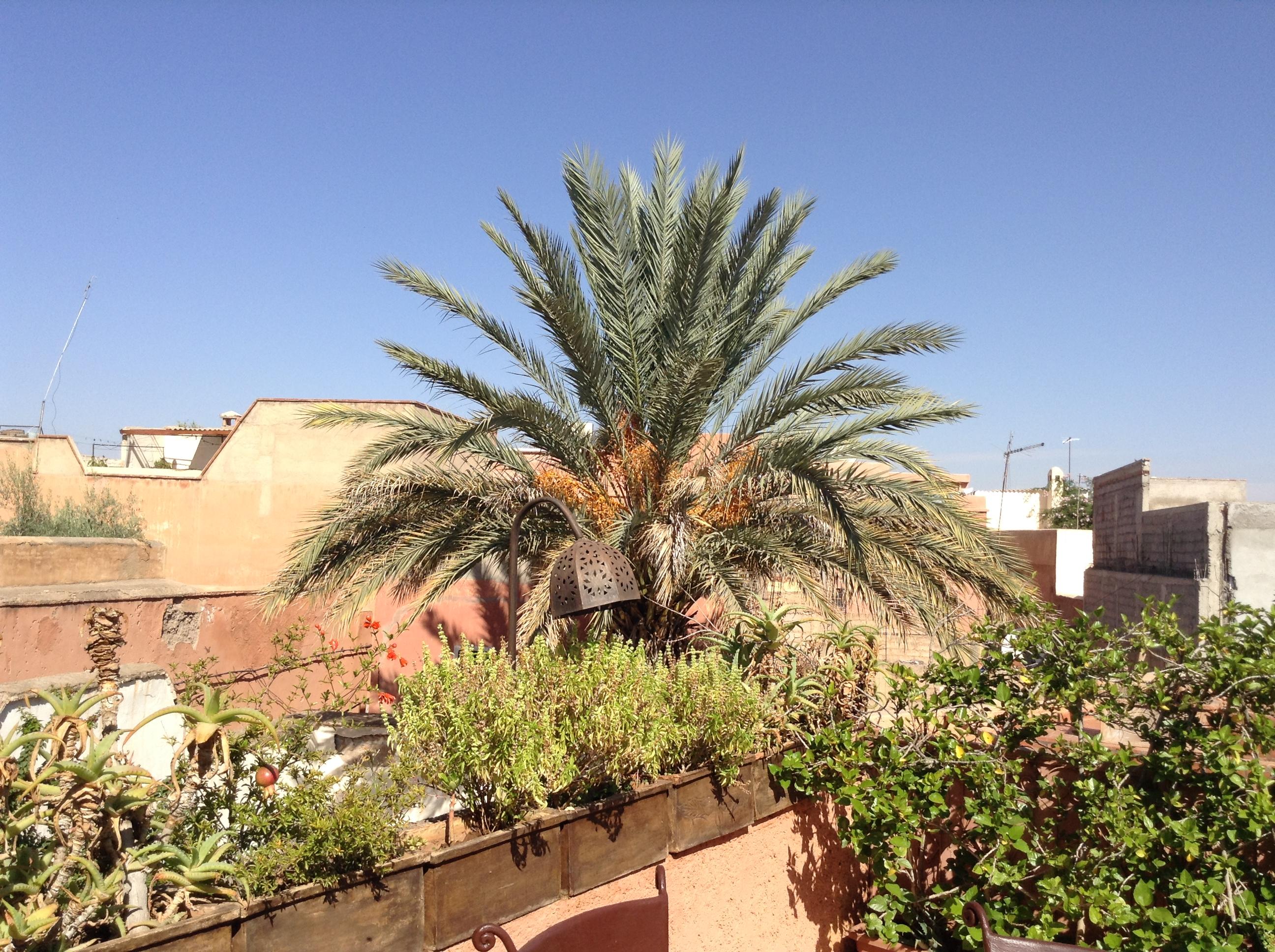 Riad Dar Zemrane