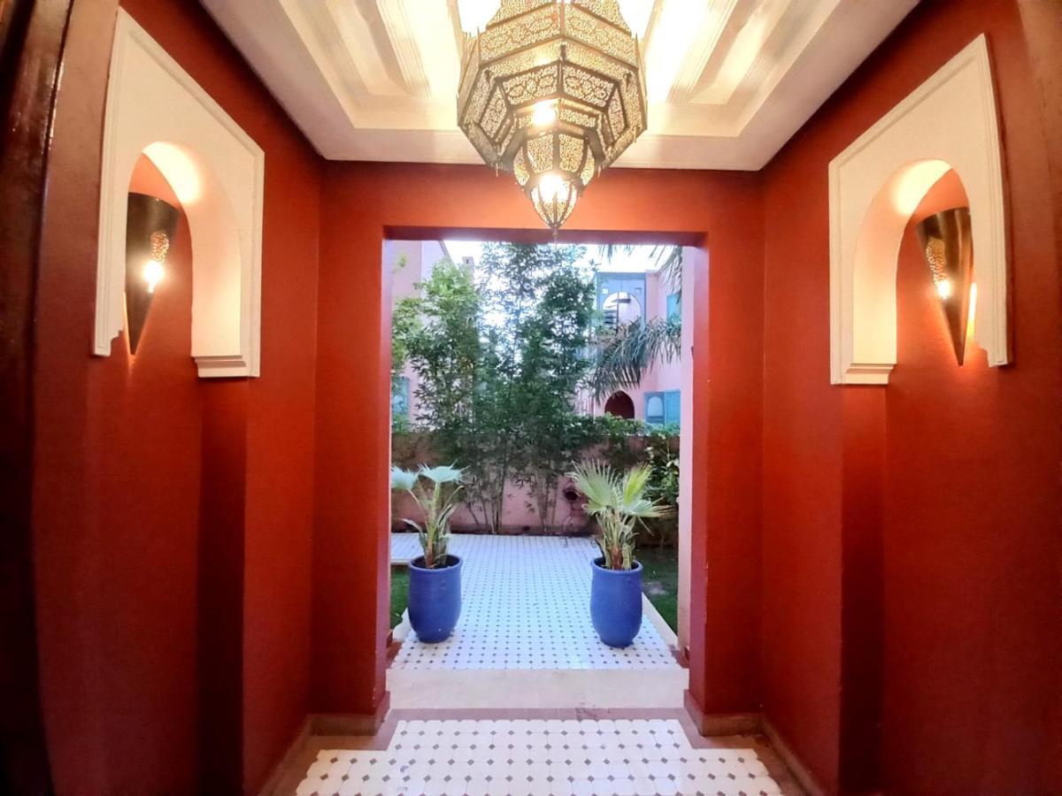 Cycas Targa Garden -only Family * Marraquexe