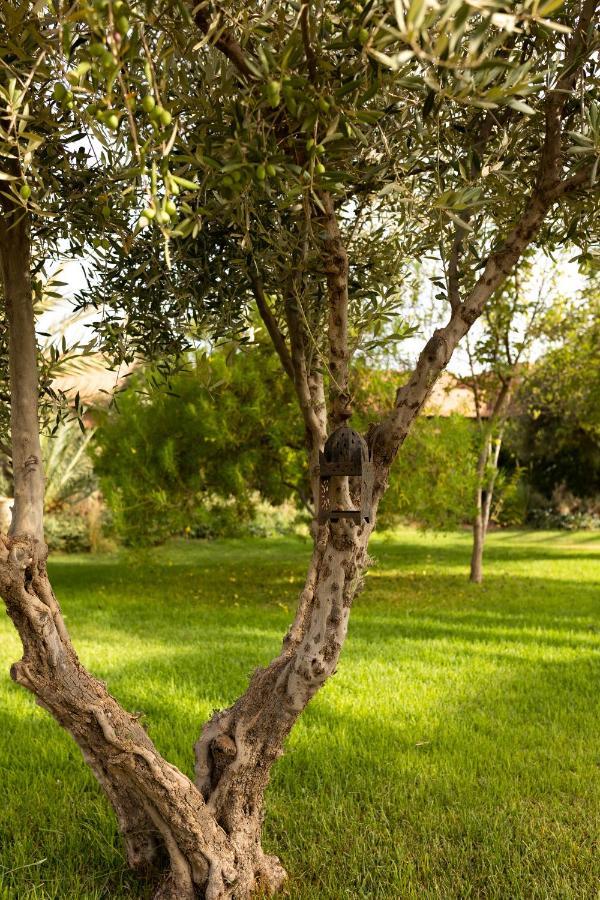 Hotel Domaine Des Remparts &
