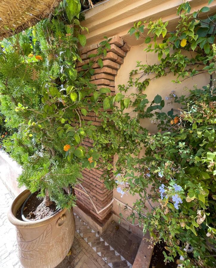Zouhour Marraquexe