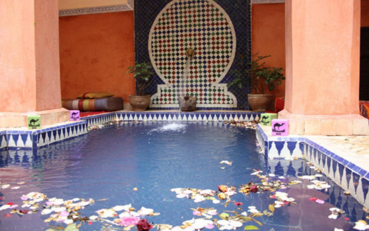 Le Dromadaire Bleu By Weekome Bed and breakfast *