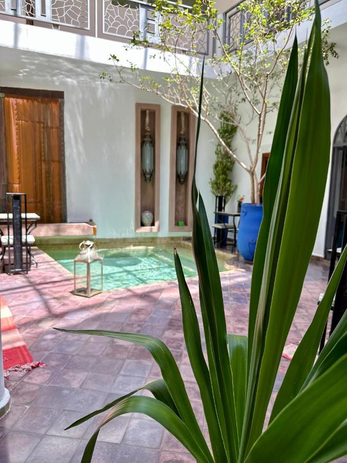 Riad Jardin Des Reves By La Siredrah 3*