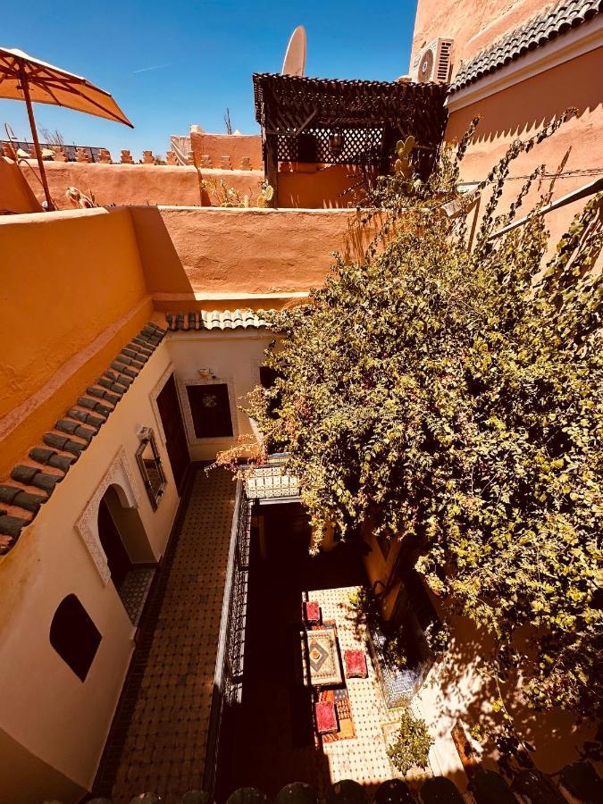 Msholidays Bassin Privatise Marrakech Riad