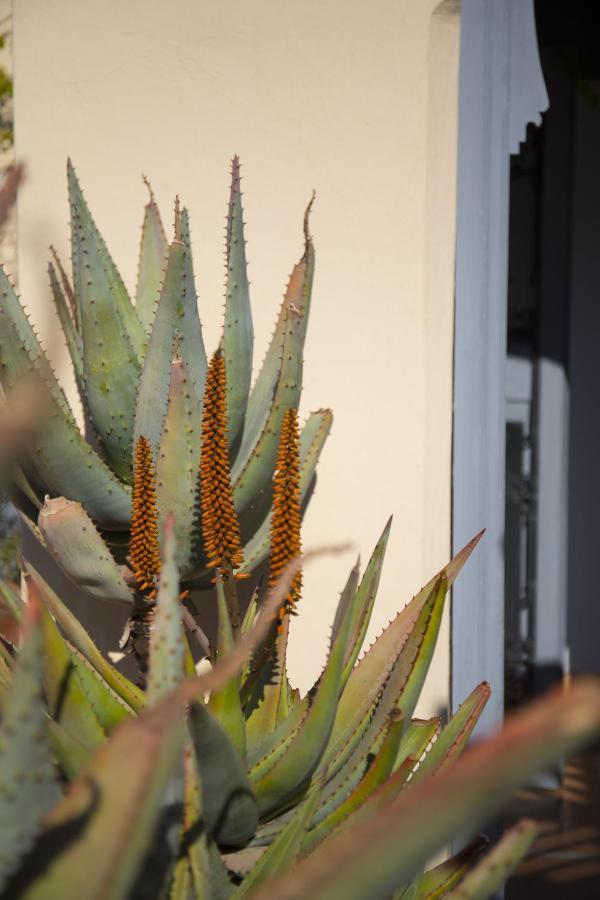 Les Hirondelles Boutique Guest house 4*