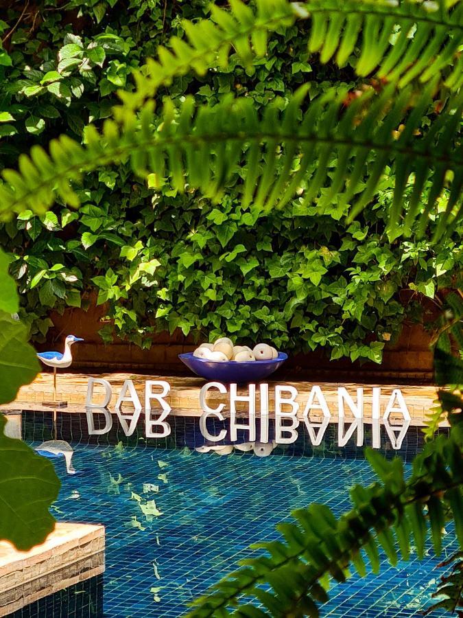 Dar Chibania 4*